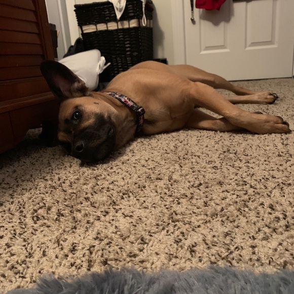 Meet your Posher, Jessica - Picture 1 of 1